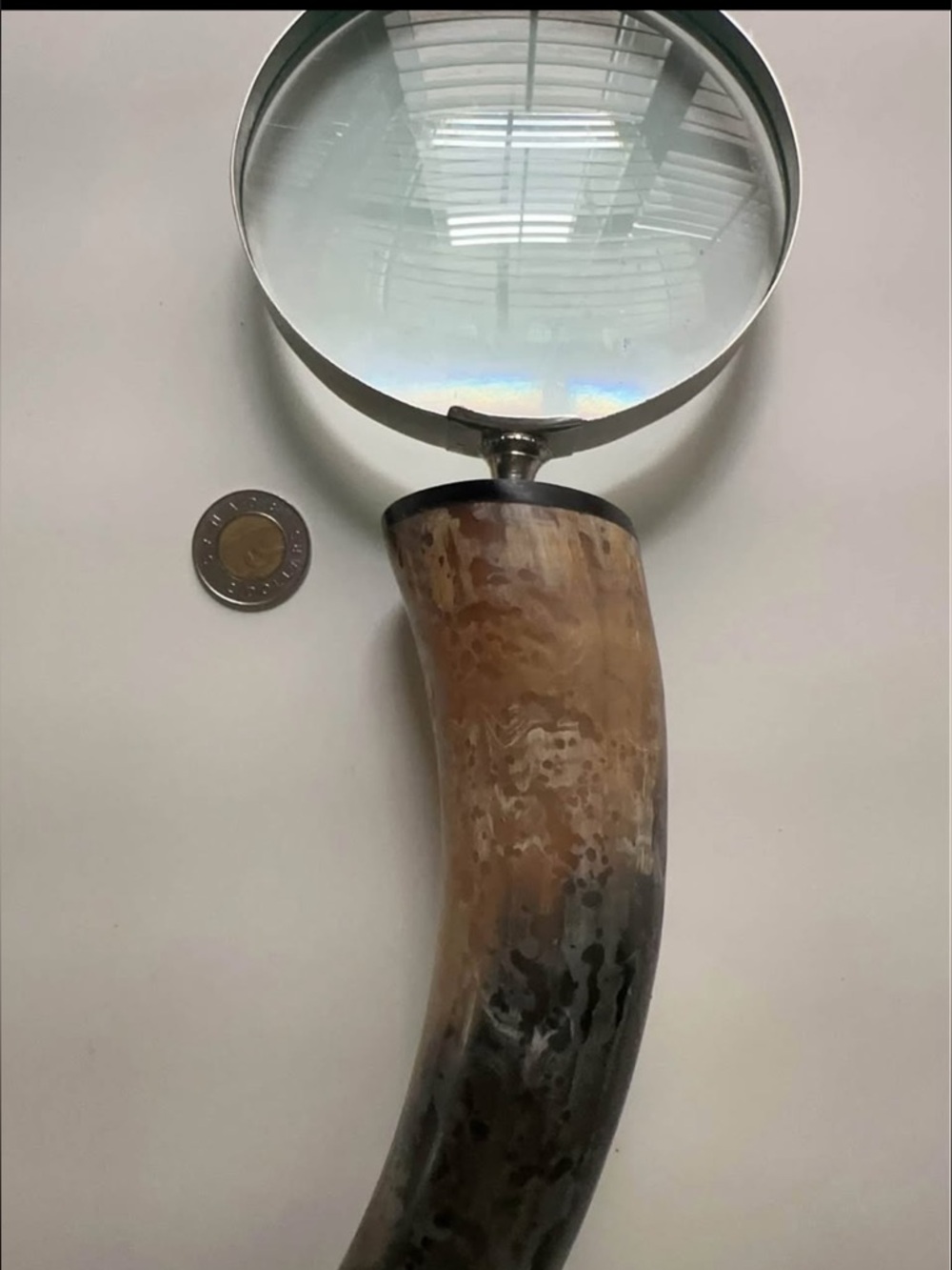 Vintage Horn-Handled Magnifying Glass - Brown & Cream
